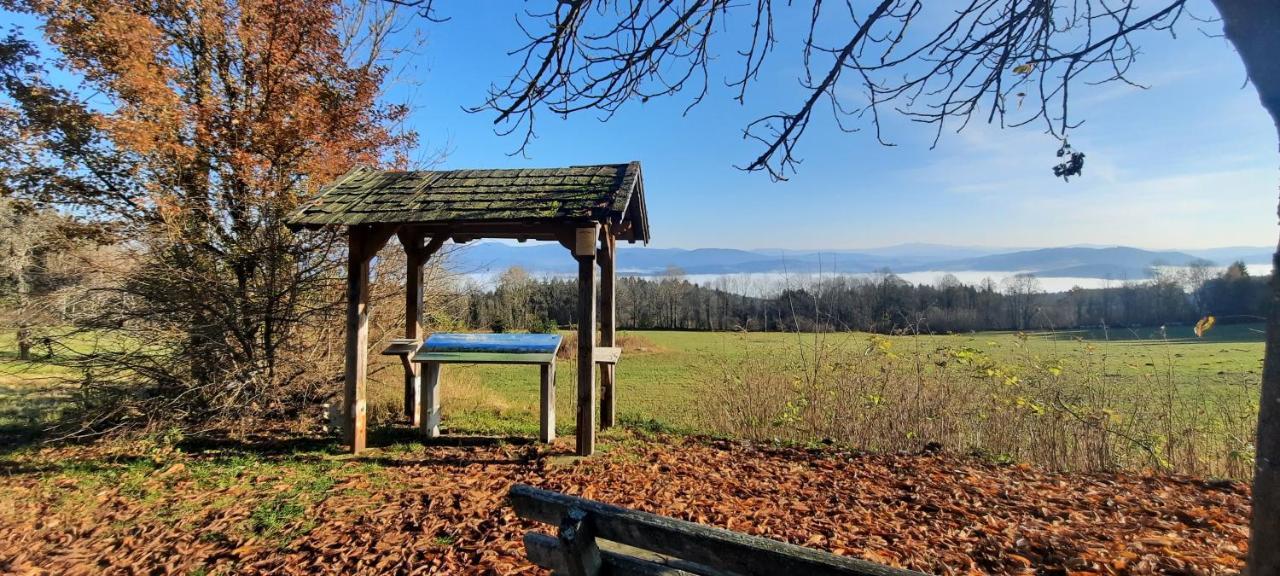 Berggasthof Schoen Patersdorf Exteriér fotografie