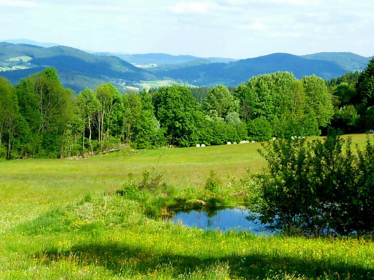 Berggasthof Schoen Patersdorf Exteriér fotografie